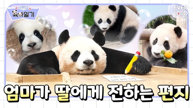 To. 내겐 기적이자 선물인 세 딸에게 │ #사랑이 육아일기 EP4. 나의 행복 푸루후