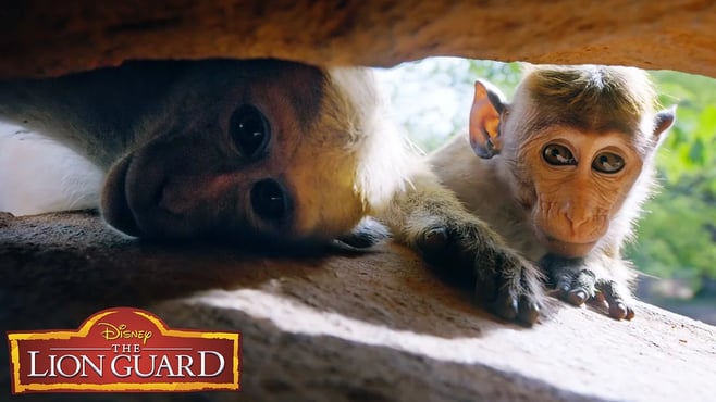Who's Sillier? | It’s UnBungalievable! | The Lion Guard | Disney Junior