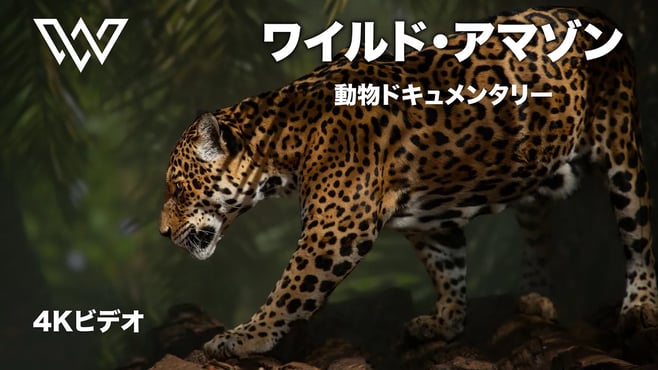 ワイルド・アマゾン | 究極の捕食者たちの謎 | 動物ドキュメンタリー