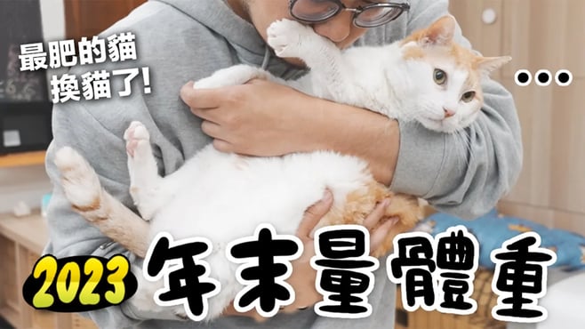 【黃阿瑪的後宮生活】2023年末量體重！最肥的貓換貓了！