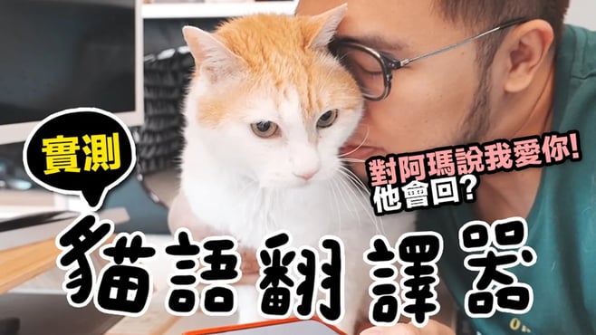 【黃阿瑪的後宮生活】貓語翻譯器實測！阿瑪會回答什麼？