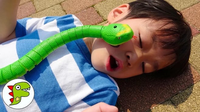 Catch the snake!!レオくんがヘビのラジコンで遊ぶよ！逃げたヘビを追いかけるよ！ トイキッズ