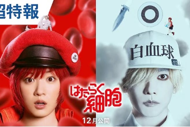 はたらく細胞 (2024):作品情報