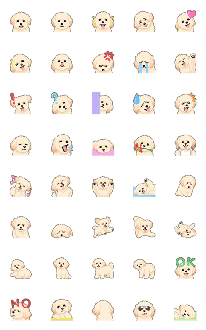 マルプー（犬）