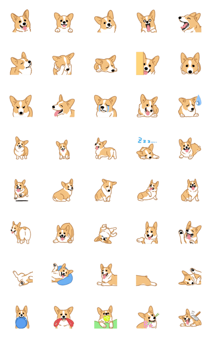 コーギー（犬）