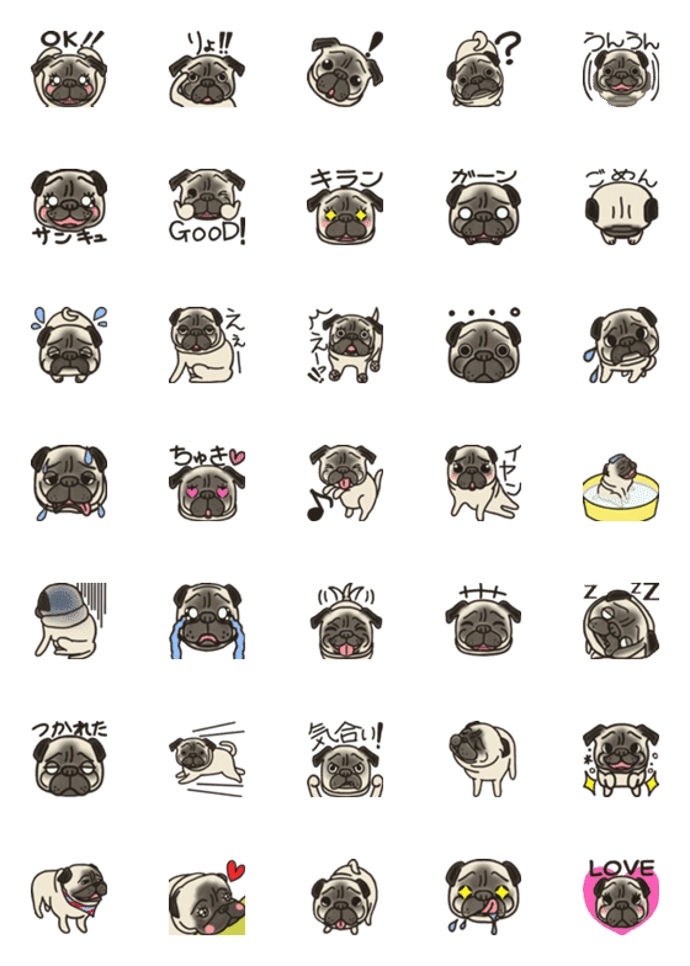 パグのボンです