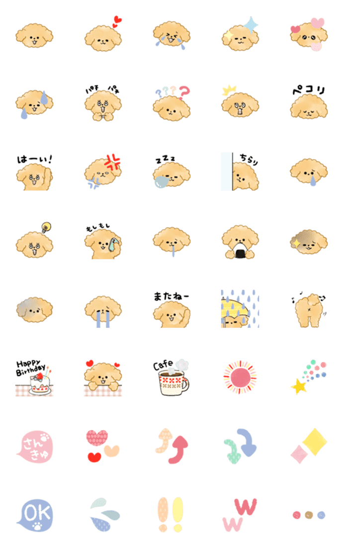 ▶︎動く！うちのトイプー♡APRICOT