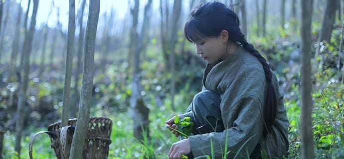 ( Wild vegetables)又到了一日三餐吃野菜的时候 | Liziqi Channel