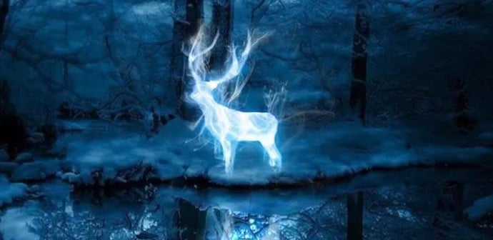 Which Magical Creature Matches Your Personality?