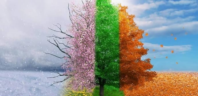 Which Season Mirrors Your True Self?