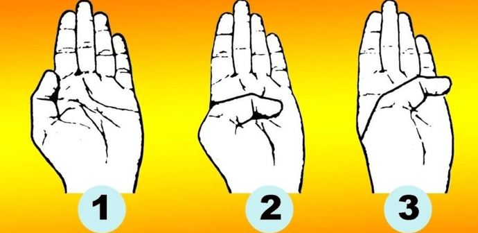 What Does Your Palm Say About You?