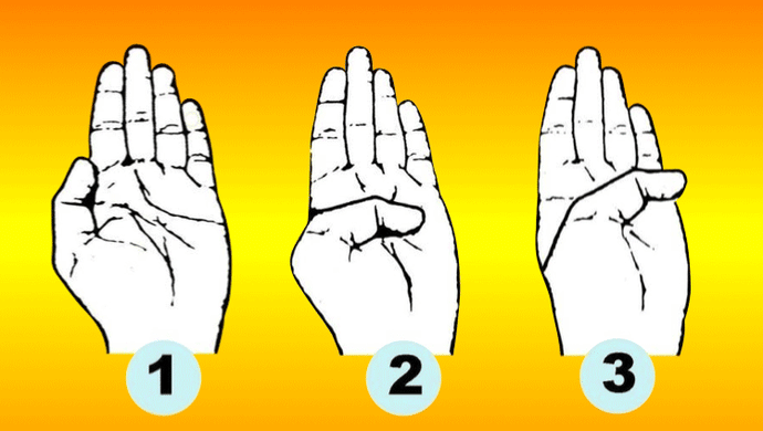 What Does Your Palm Say About You?