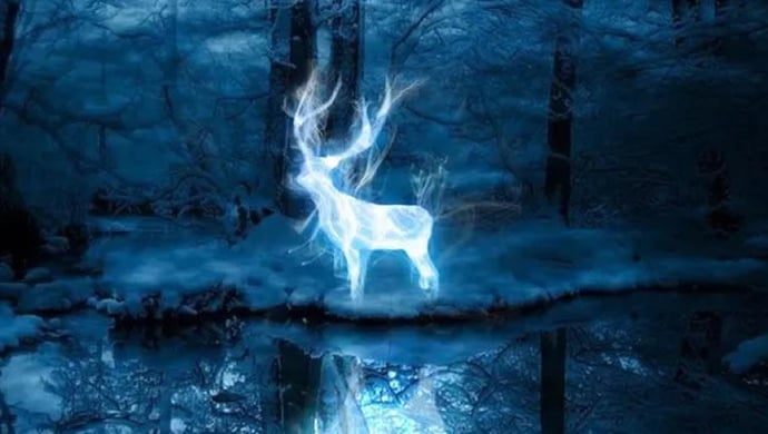 Which Magical Creature Matches Your Personality?