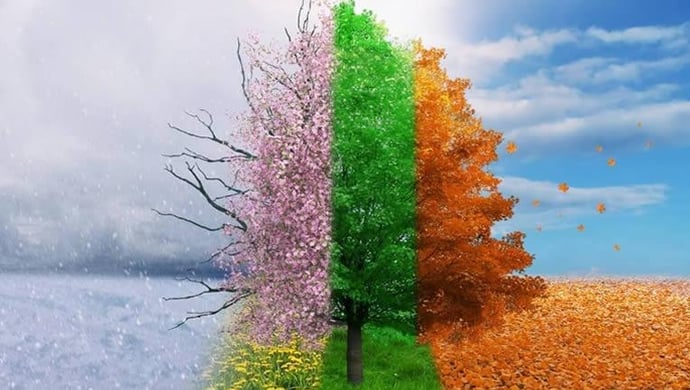 Which Season Mirrors Your True Self?