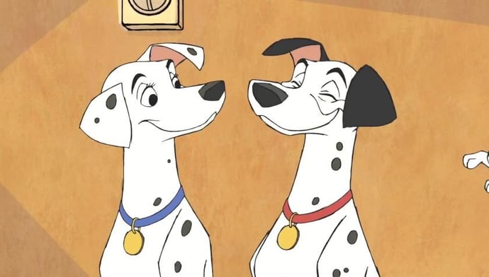 Your Pet (or Imaginary Pet)