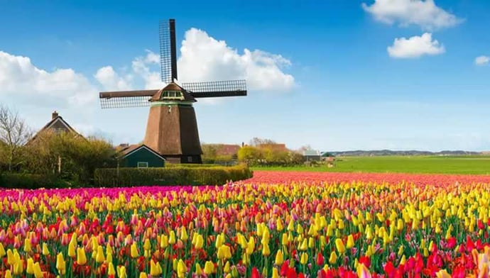 あなたは春です！