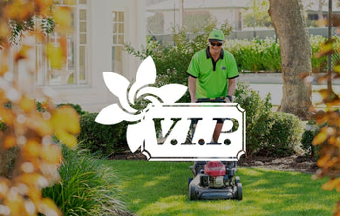 VIP Home Services