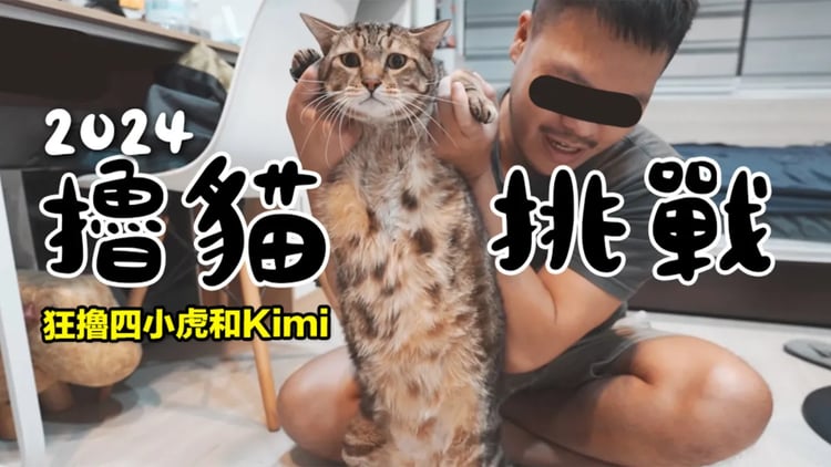 【黃阿瑪的後宮生活】2024擼貓挑戰!狂擼四小虎和Kimi