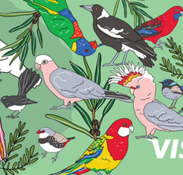 Birds - Visa