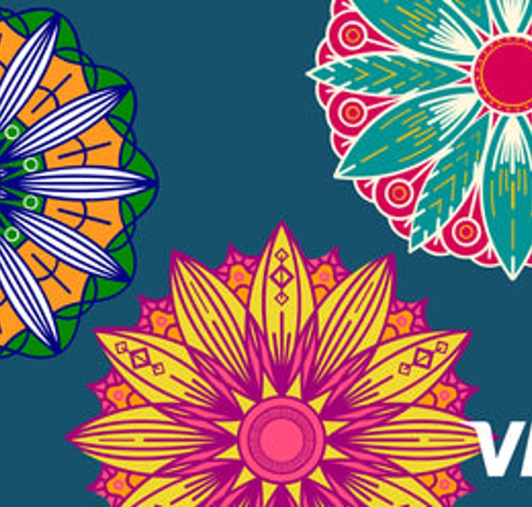 Raksha Bandhan - Visa