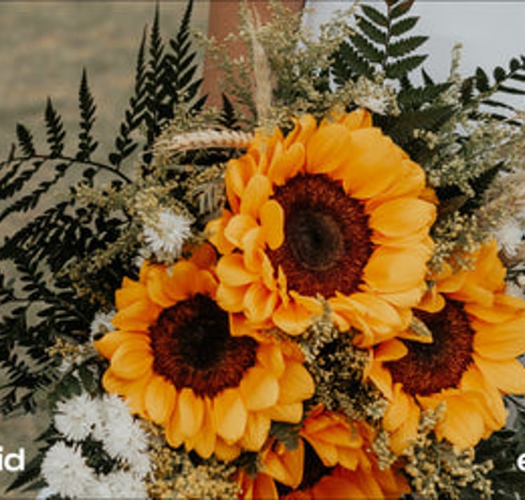 Wedding Bells - eftpos