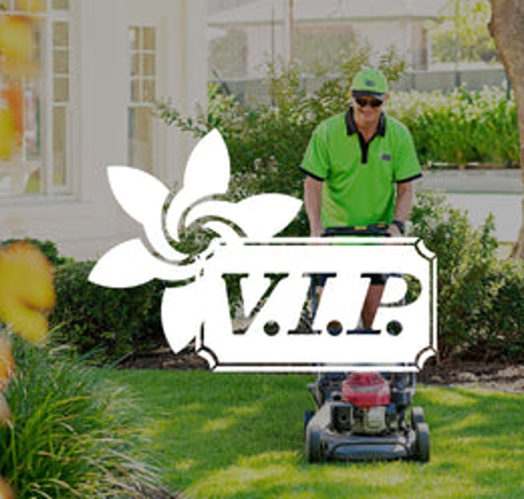 VIP Home Services