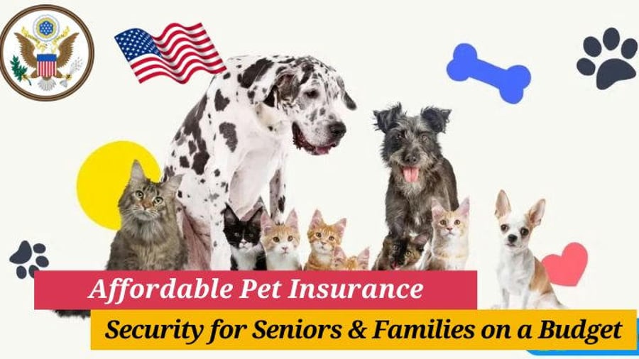 🐾 Affordable Pet Insurance: Security for Seniors & Families on a Budget